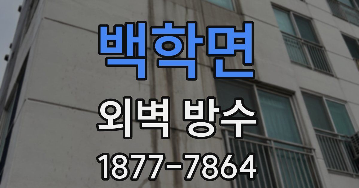 백학면 외벽 방수