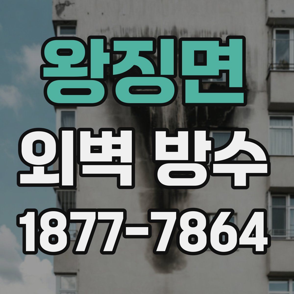 왕징면 외벽 방수