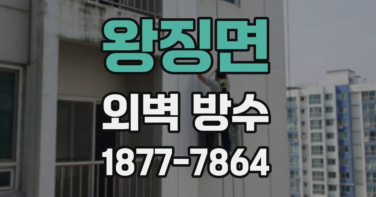 왕징면 외벽 방수