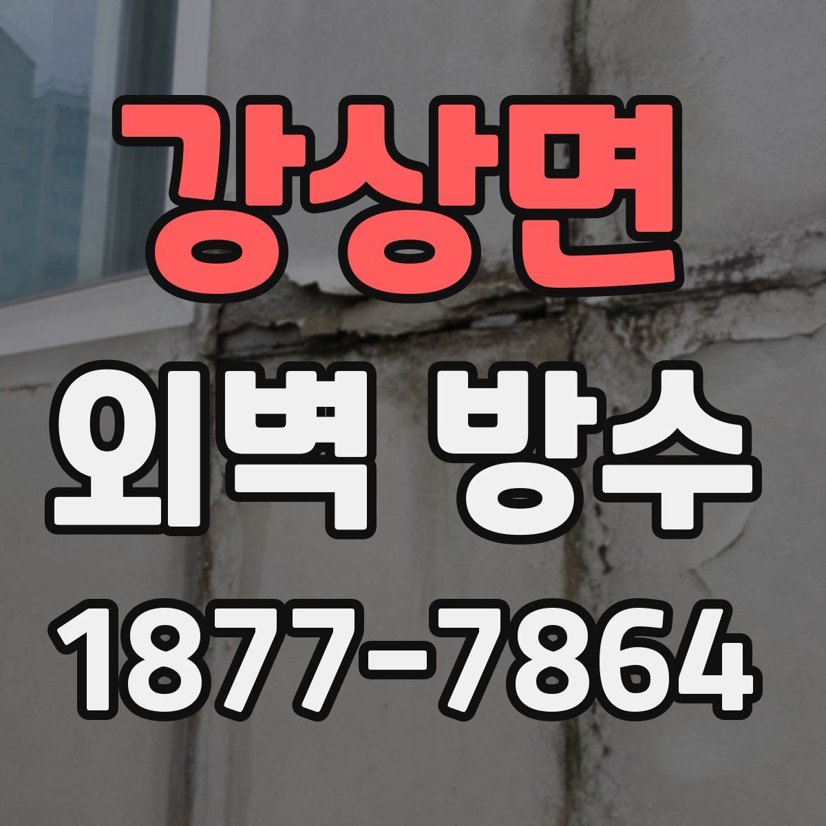 강상면 외벽 방수
