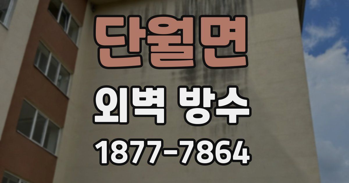 단월면 외벽 방수