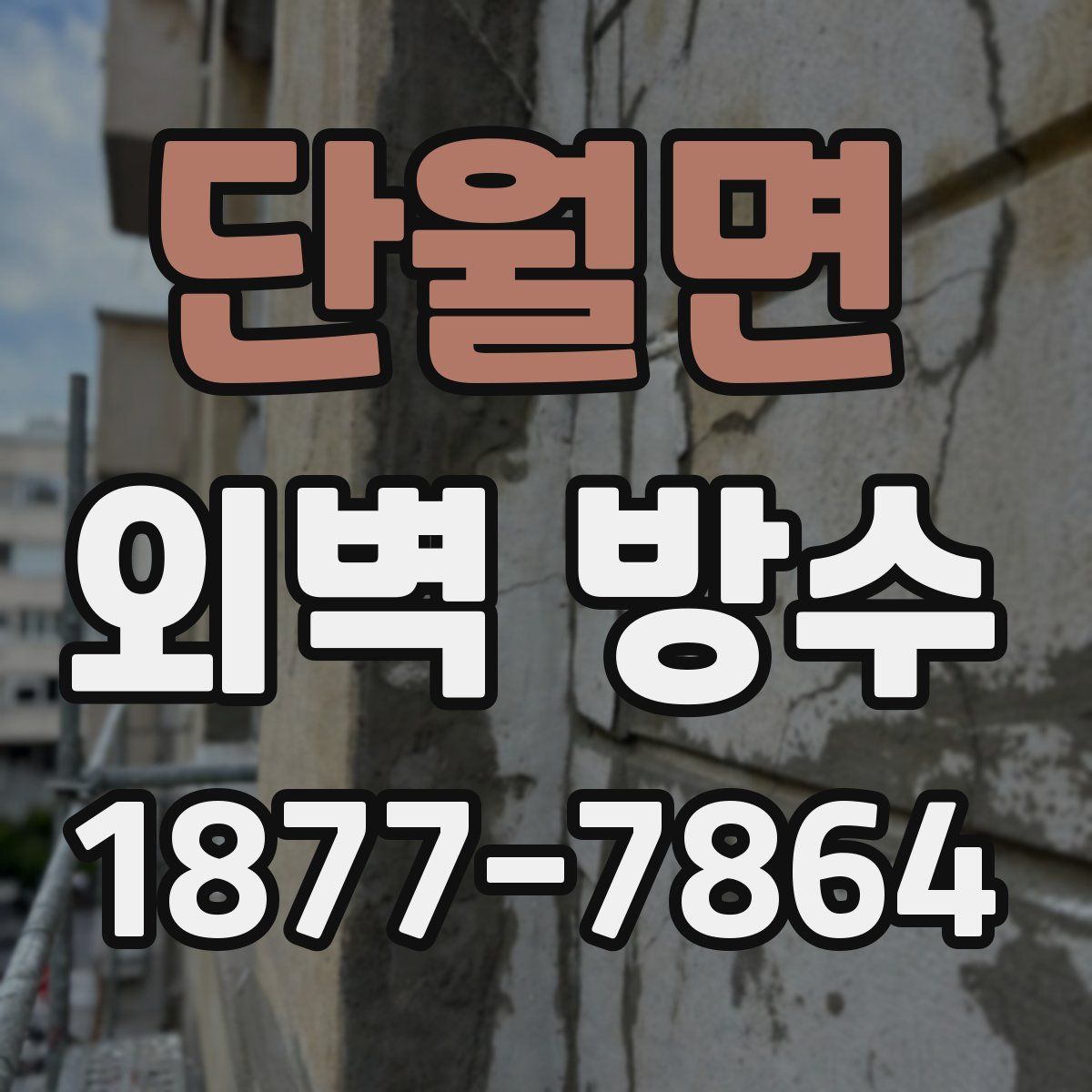 단월면 외벽 방수