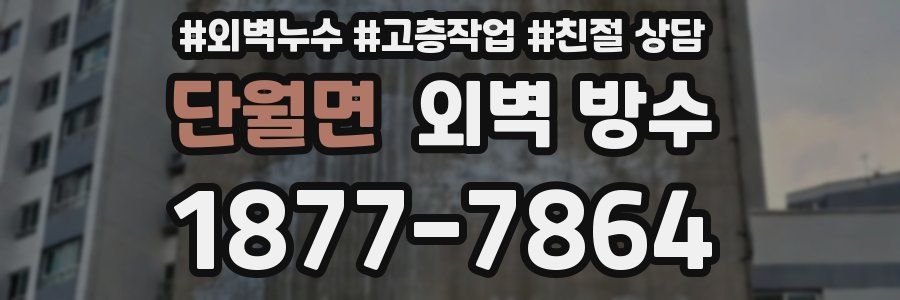 단월면 외벽 방수