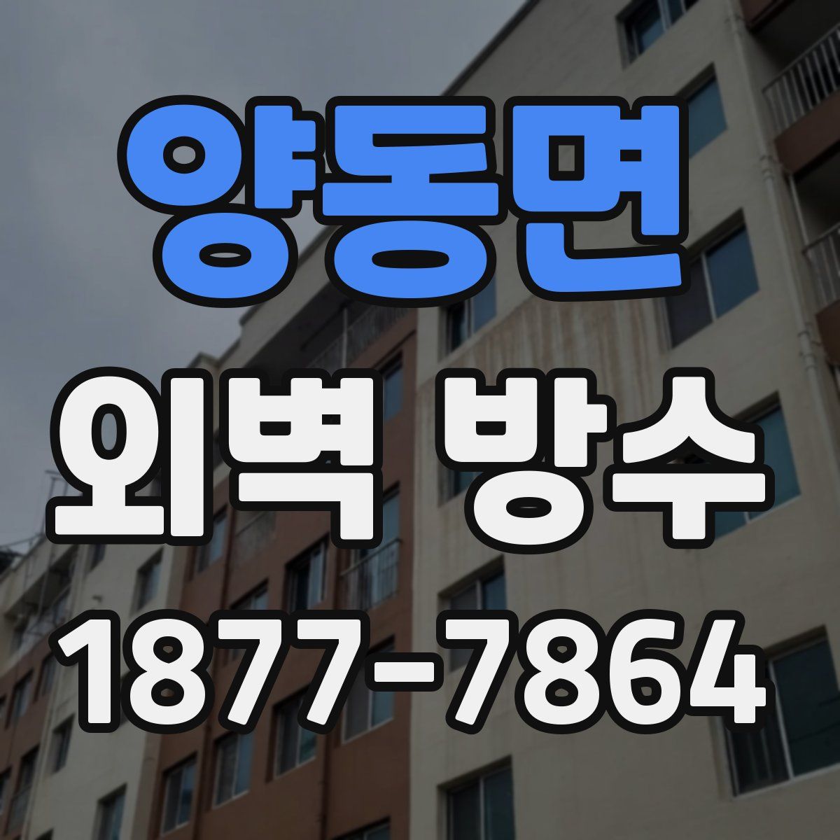 양동면 외벽 방수