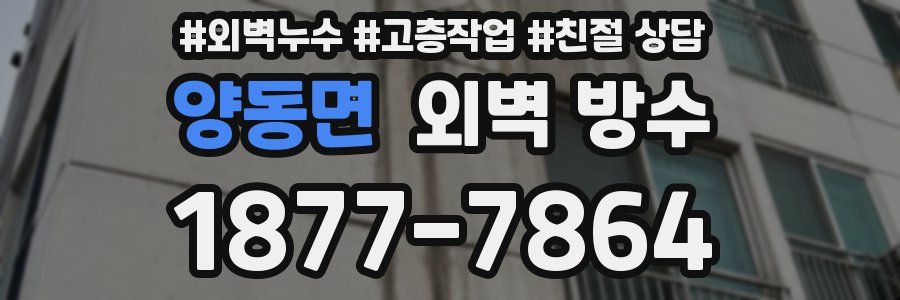 양동면 외벽 방수