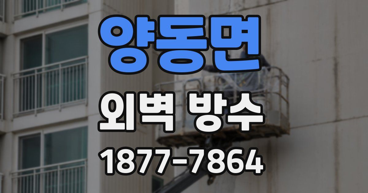 양동면 외벽 방수