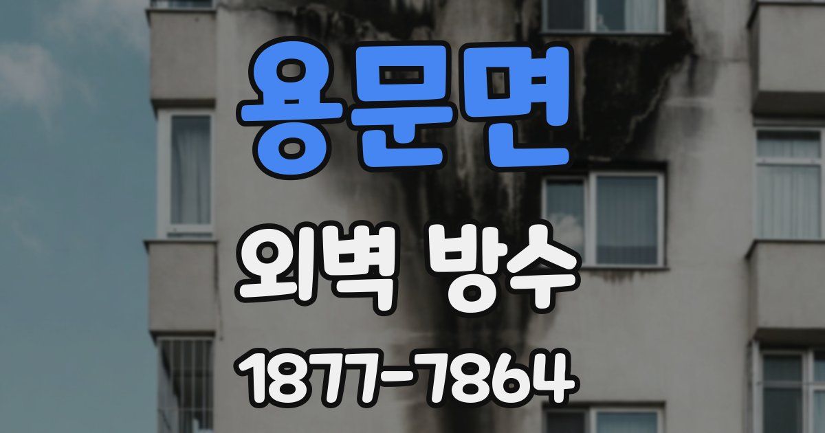 용문면 외벽 방수