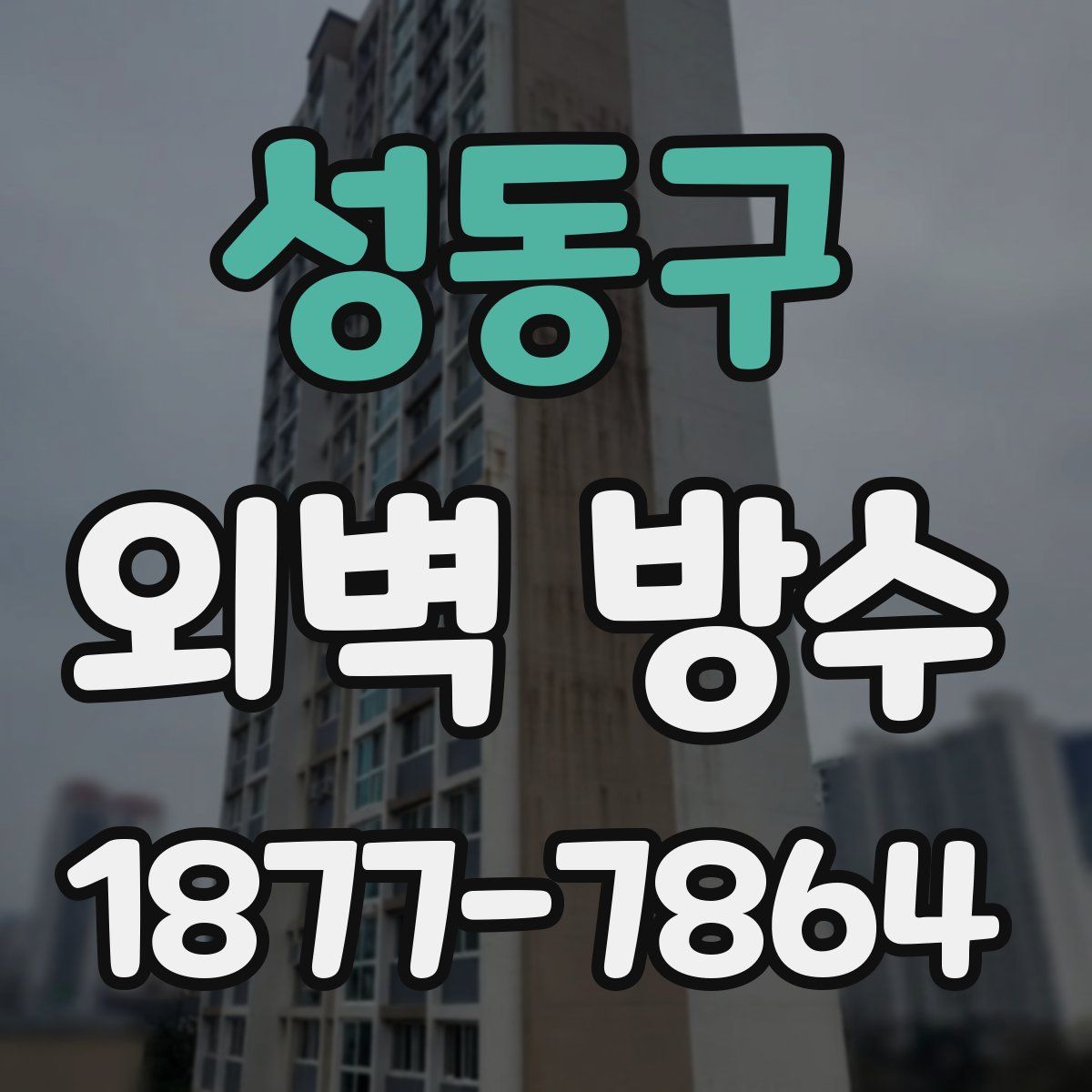 성동구 외벽 방수