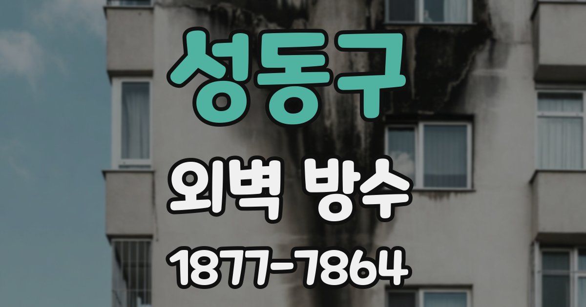 성동구 외벽 방수