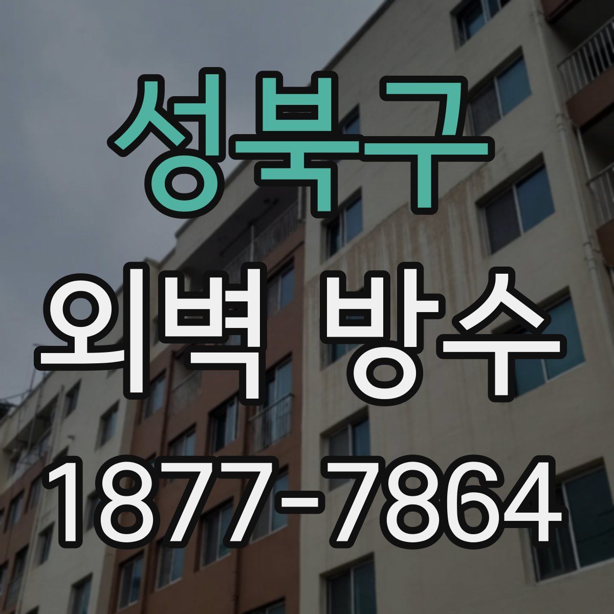 성북구 외벽 방수