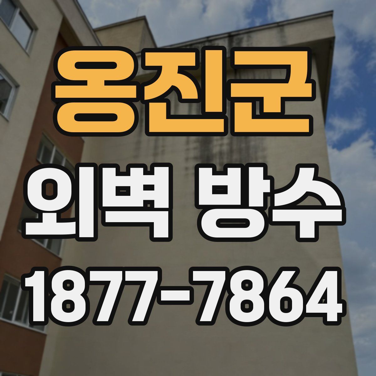 옹진군 외벽 방수