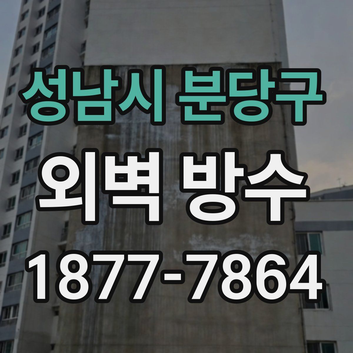 성남시 분당구 외벽 방수