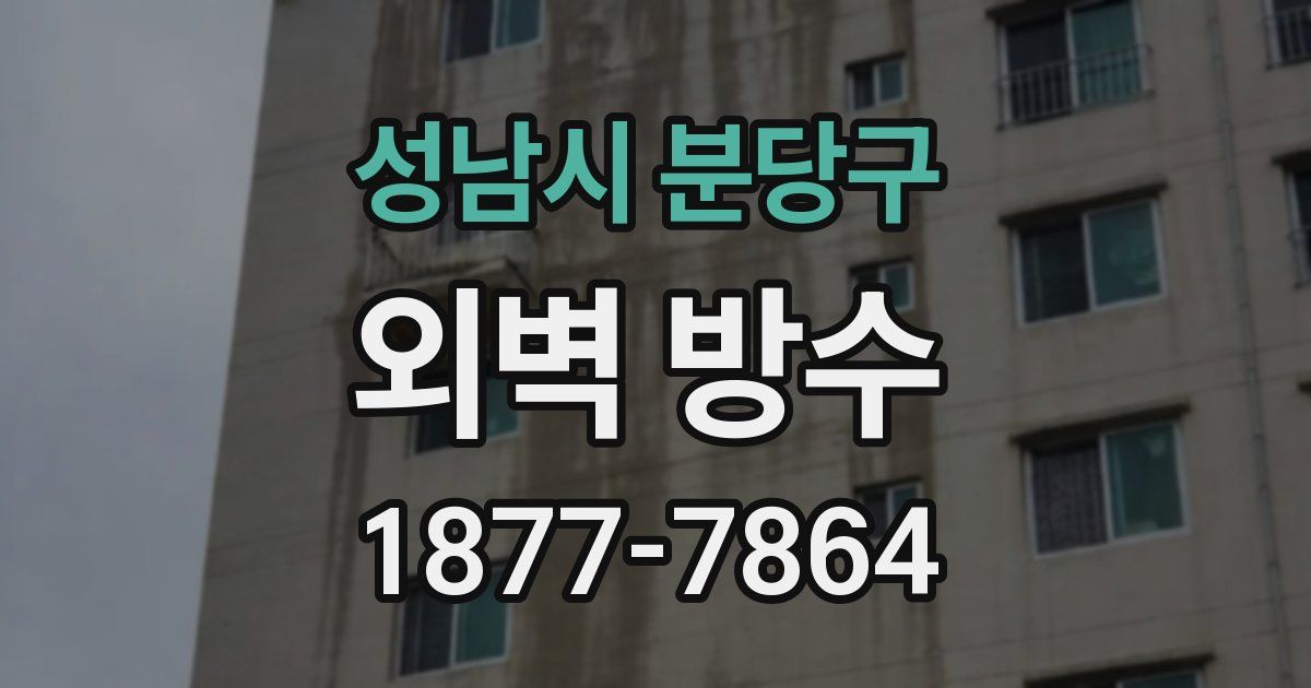성남시 분당구 외벽 방수