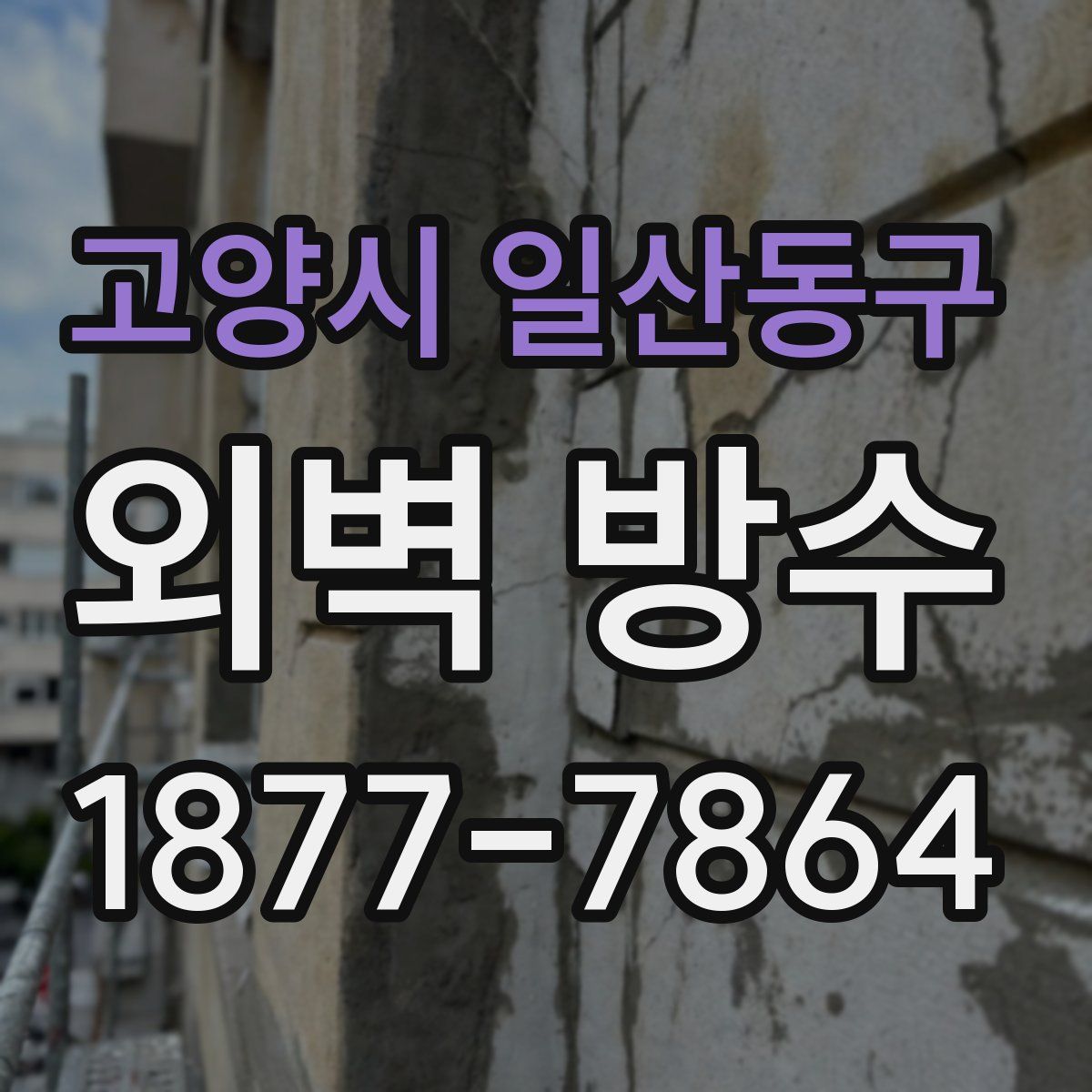 고양시 일산동구 외벽 방수