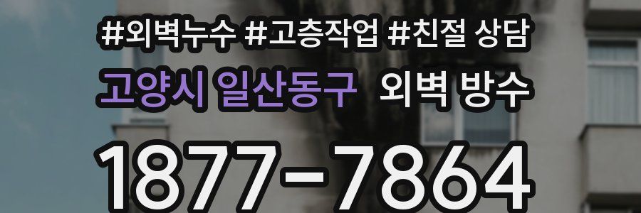 고양시 일산동구 외벽 방수