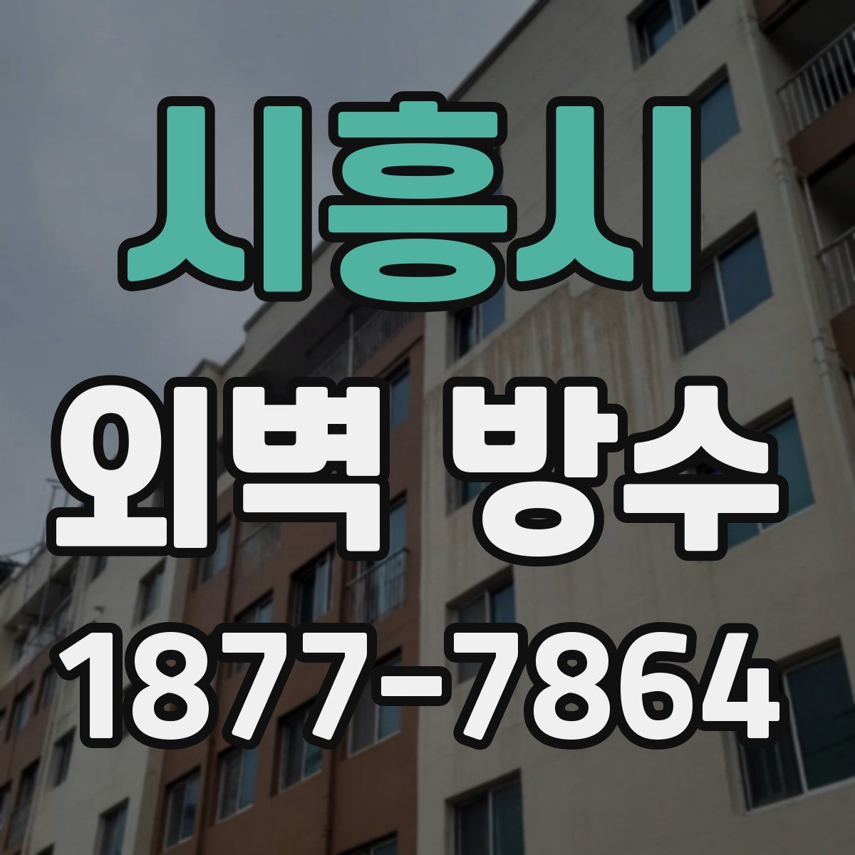 시흥시 외벽 방수