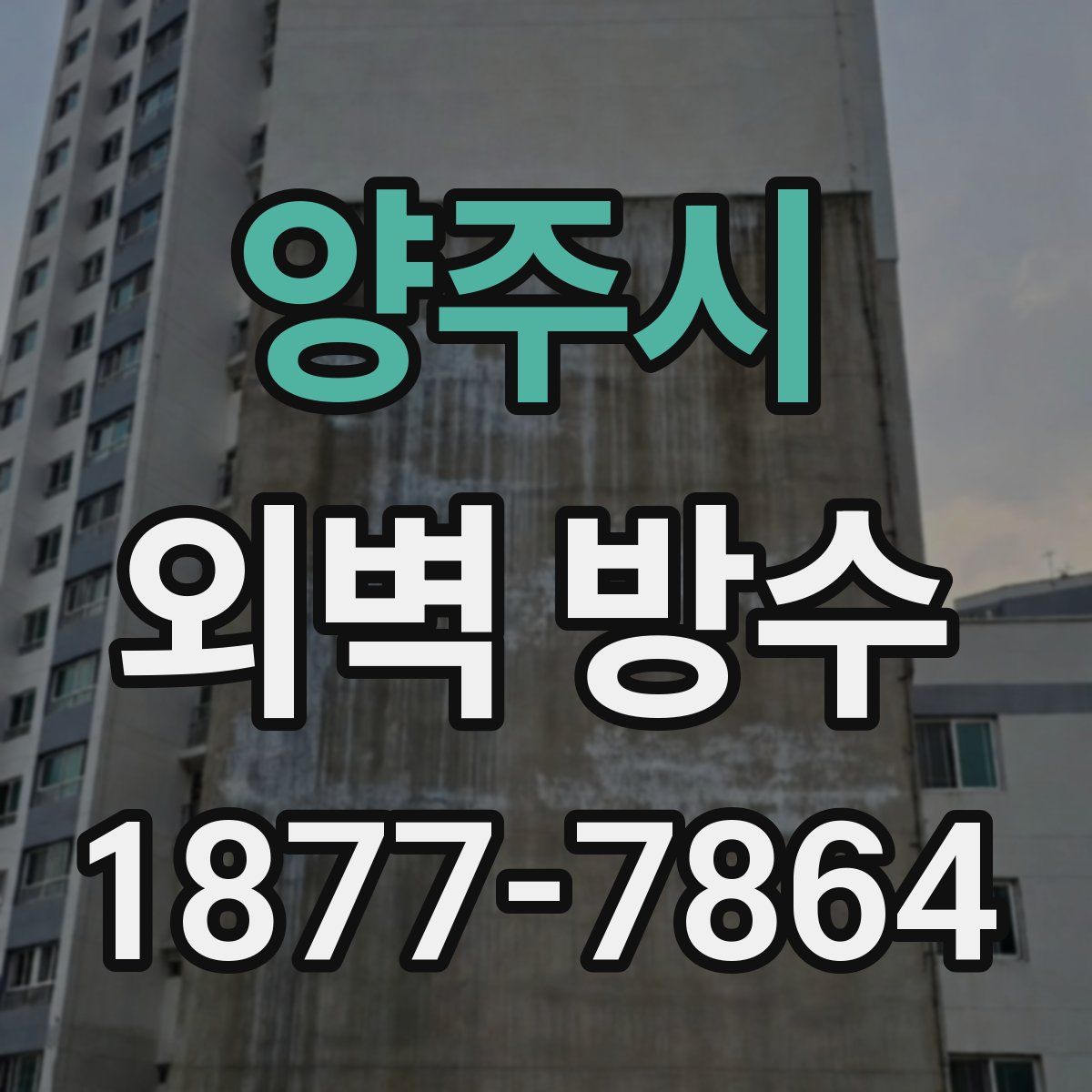 양주시 외벽 방수