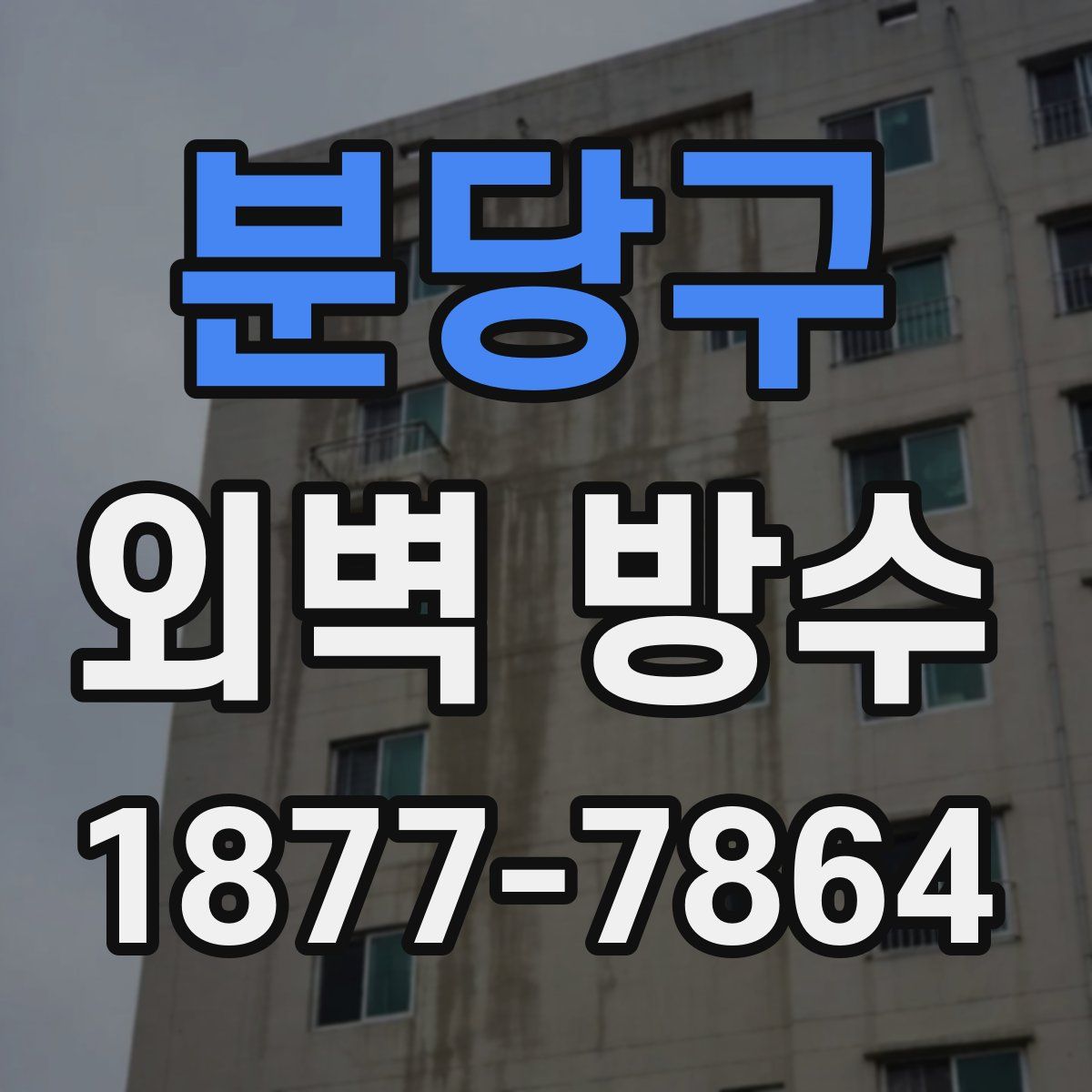 분당구 외벽 방수