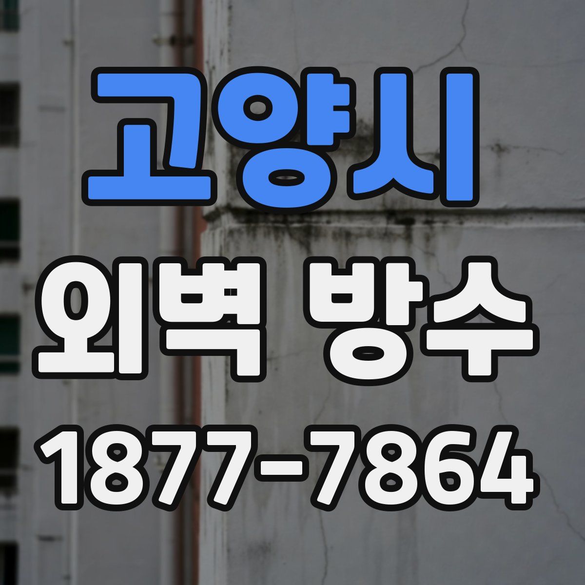고양시 외벽 방수