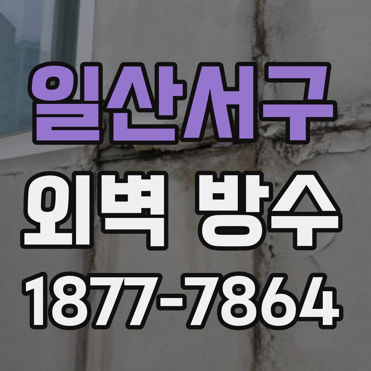 일산서구 외벽 방수