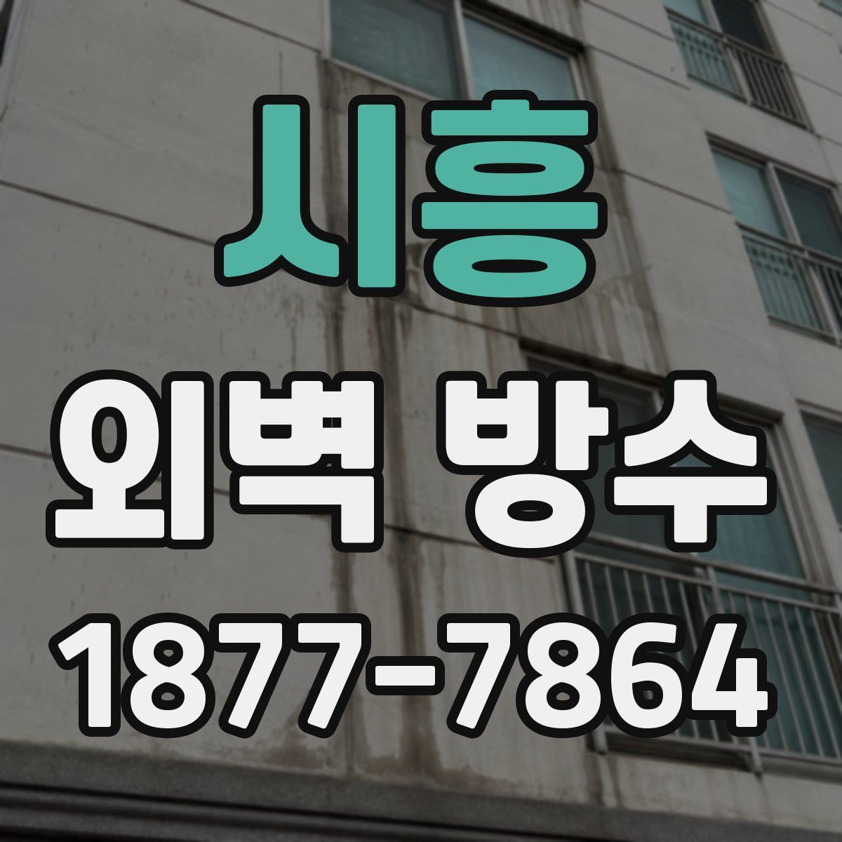 시흥 외벽 방수
