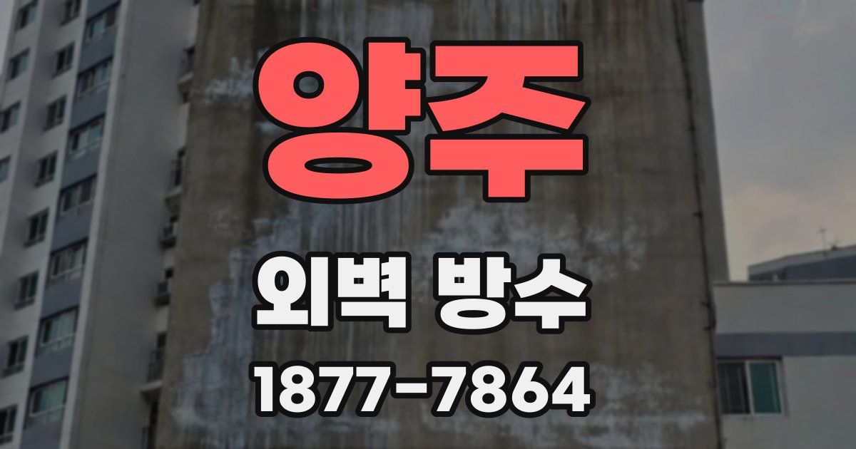 양주 외벽 방수