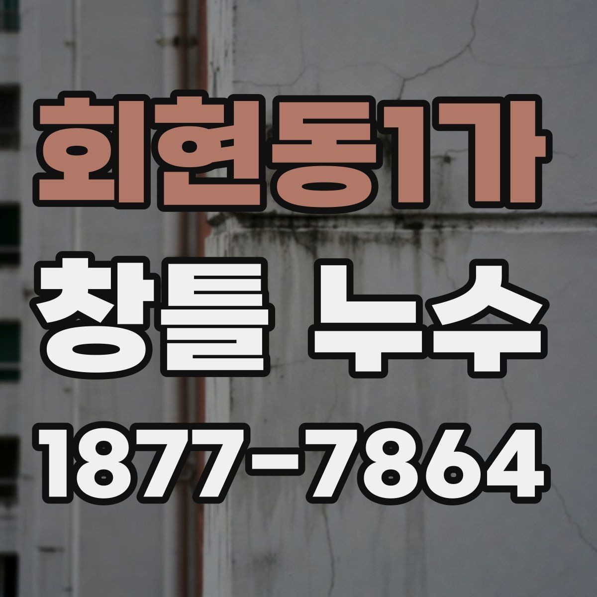 회현동1가 창틀 누수 창호 주변 곰팡이 원인과 점검