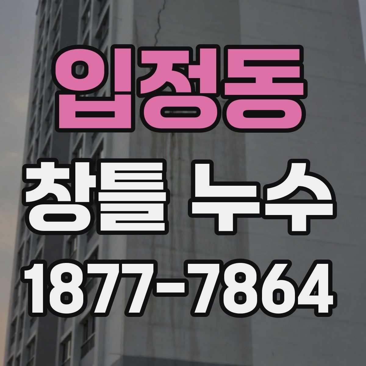 입정동 창틀 누수 원인 분석에 도움이 되는 기록