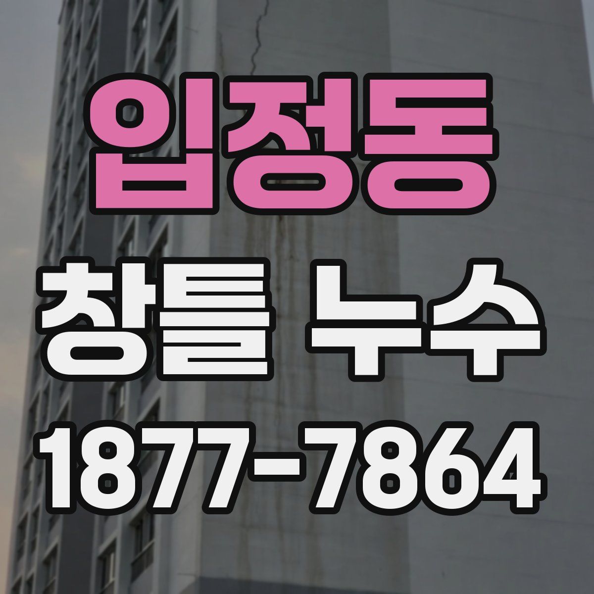 입정동 창틀 누수