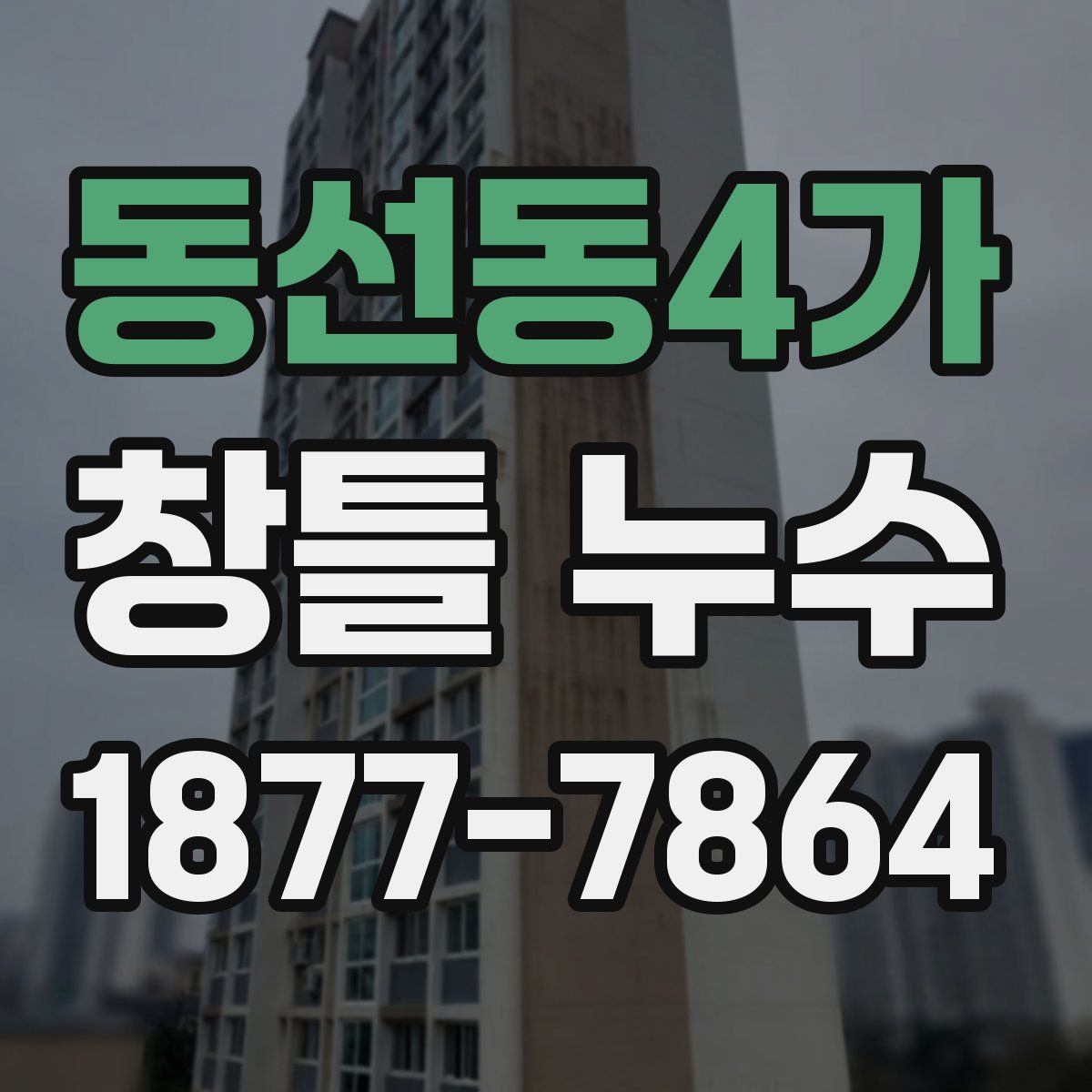 동선동4가 창틀 누수