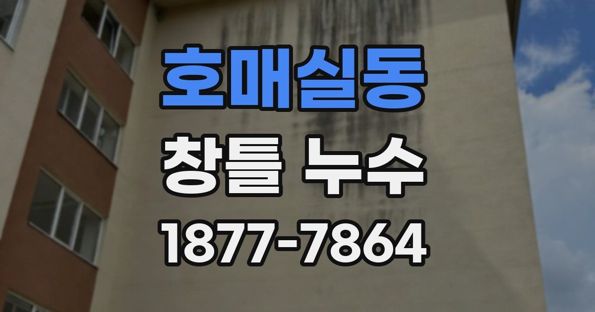 호매실동 창틀 누수