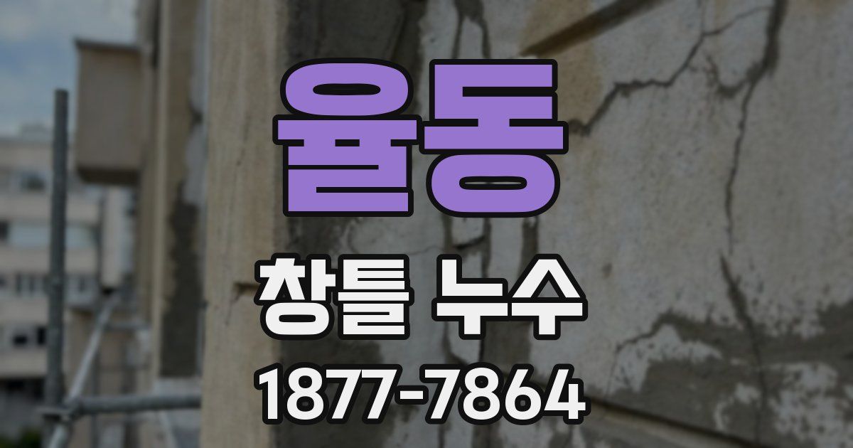 율동 창틀 누수