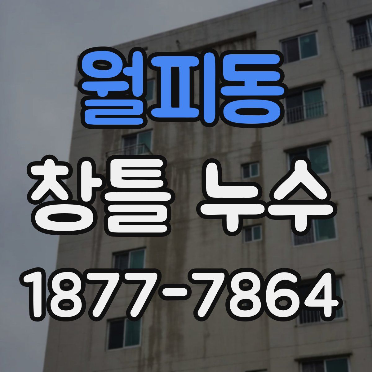 월피동 창틀 누수