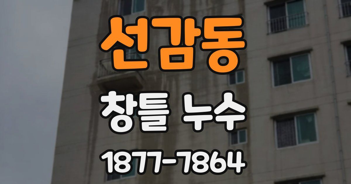 선감동 창틀 누수