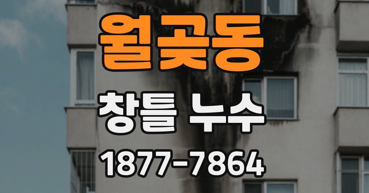 월곶동 창틀 누수