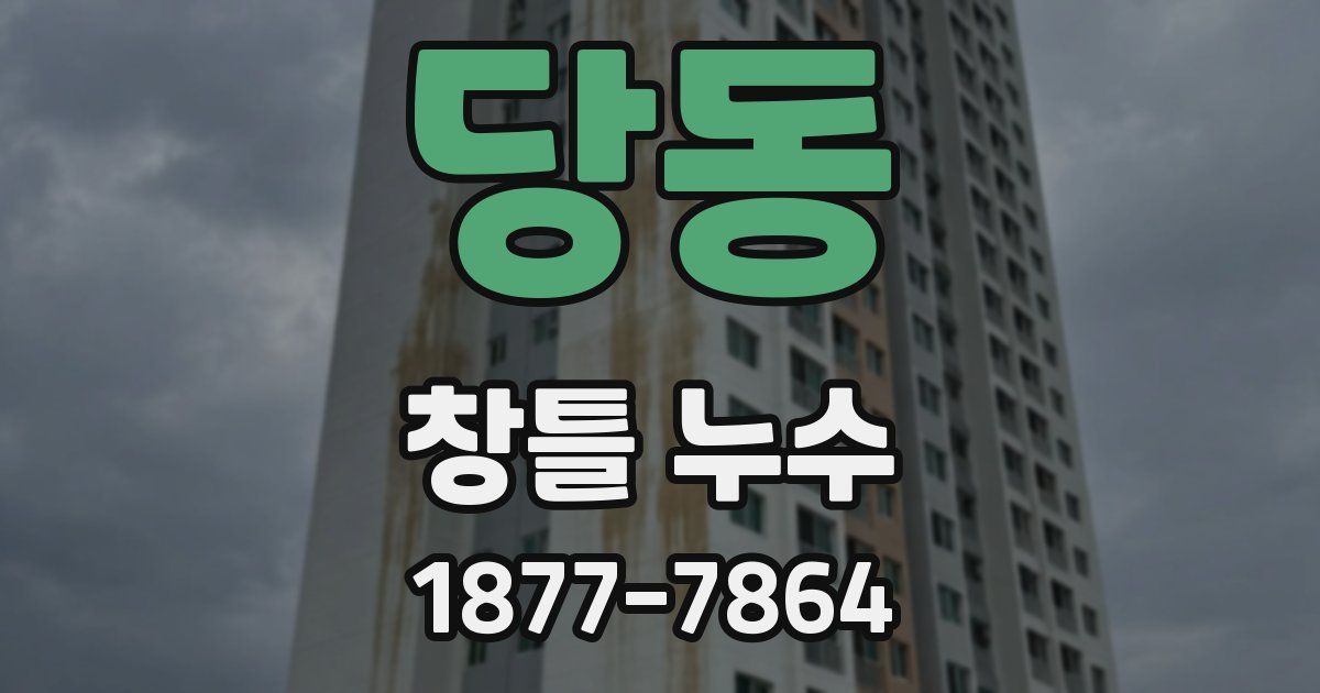 당동 창틀 누수