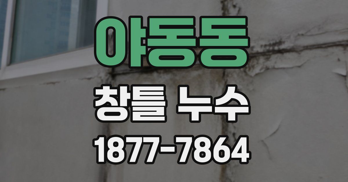 야동동 창틀 누수