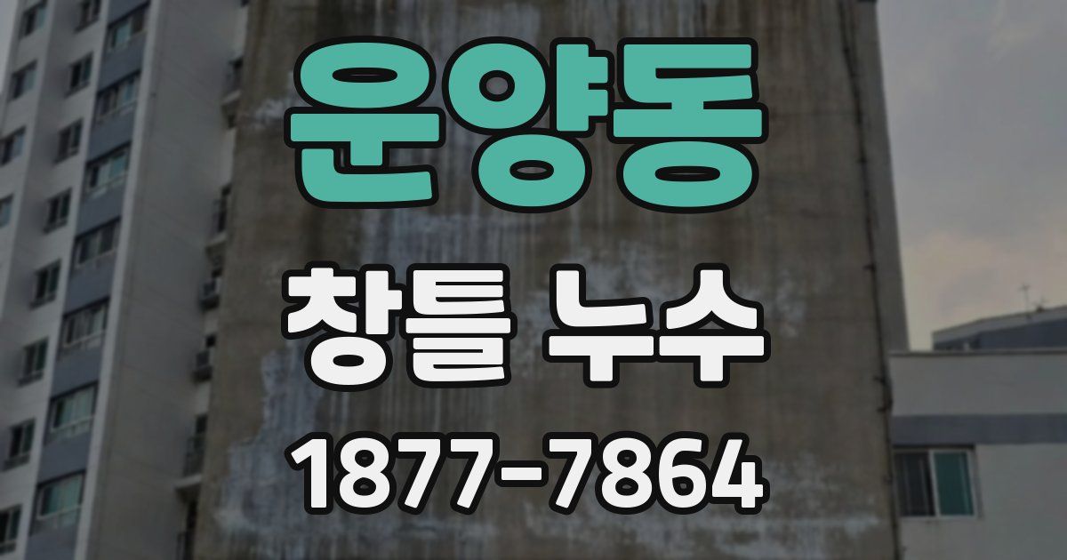 운양동 창틀 누수