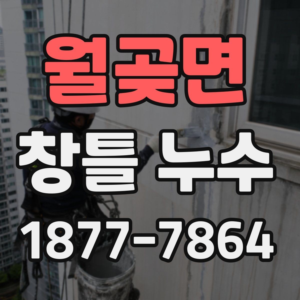 월곶면 창틀 누수 곰팡이까지 생겼을 때 대처