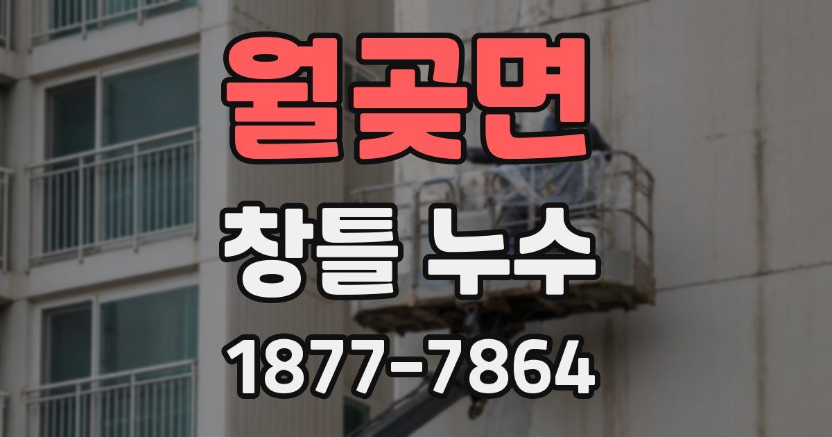 월곶면 창틀 누수