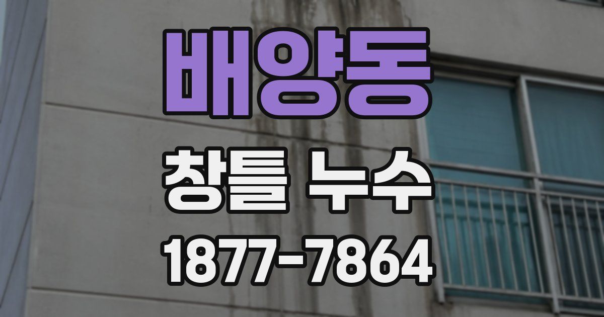 배양동 창틀 누수