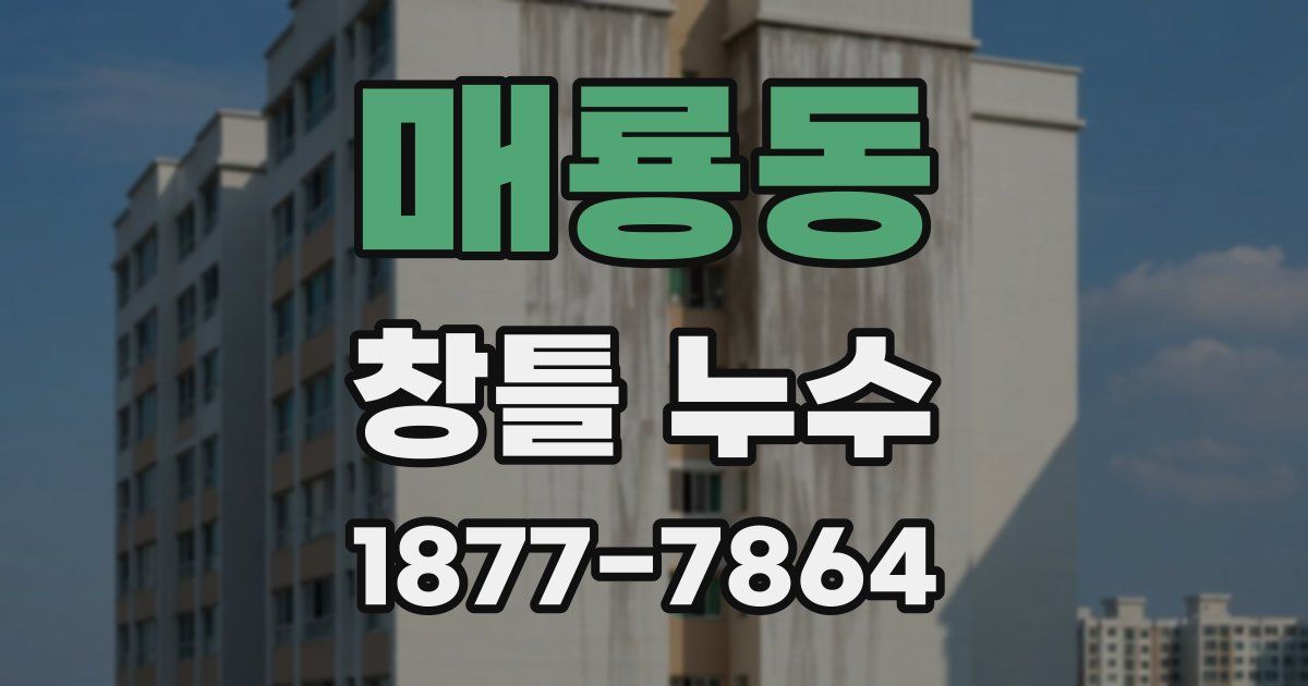 매룡동 창틀 누수