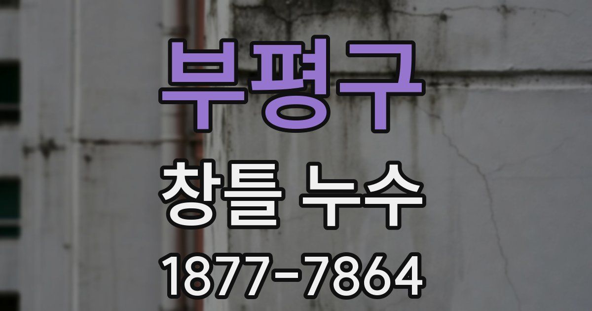 부평구 창틀 누수