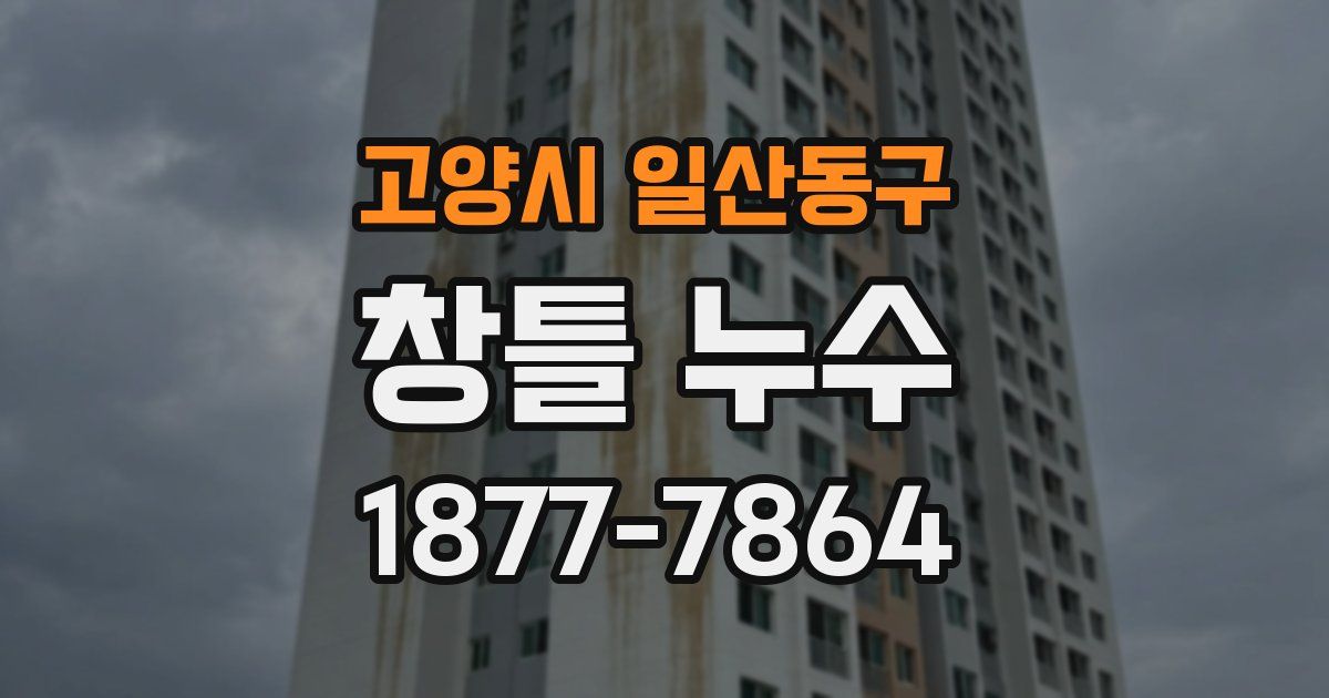 고양시 일산동구 창틀 누수