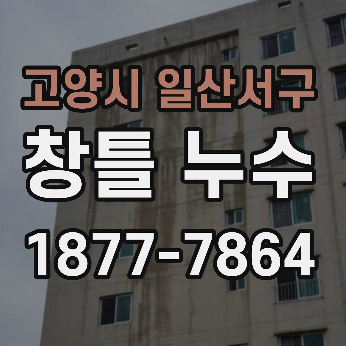 고양시 일산서구 창틀 누수 창호 주변 곰팡이 원인과 점검