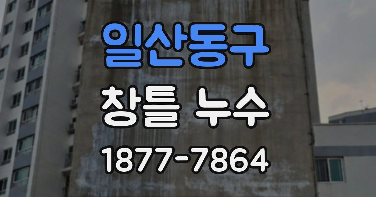 일산동구 창틀 누수
