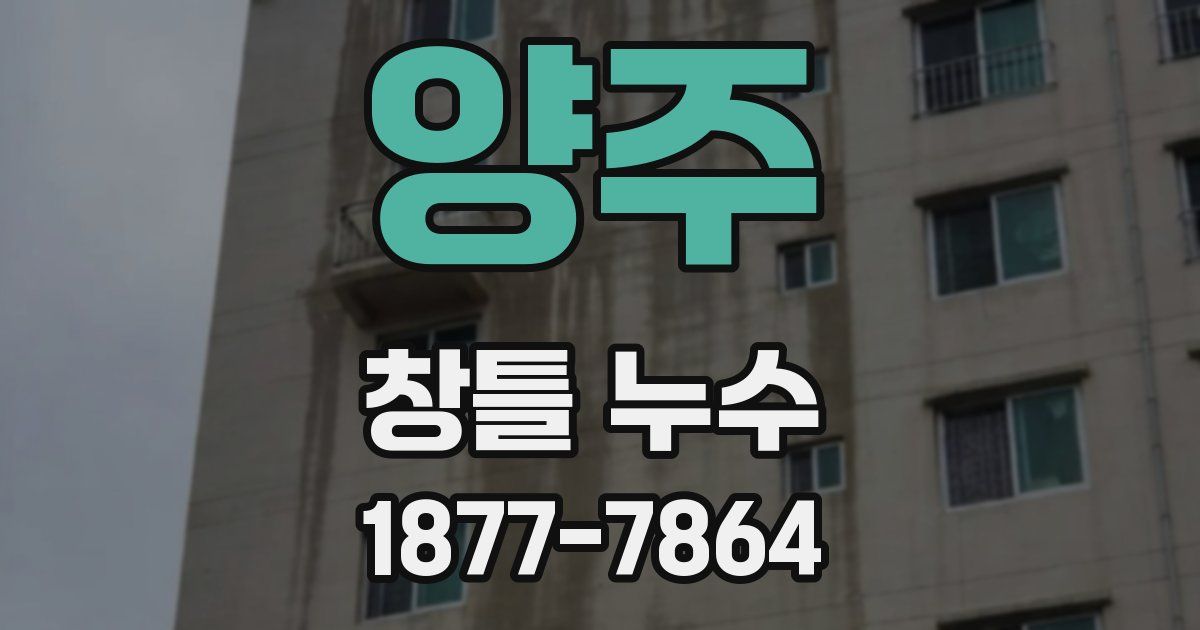 양주 창틀 누수