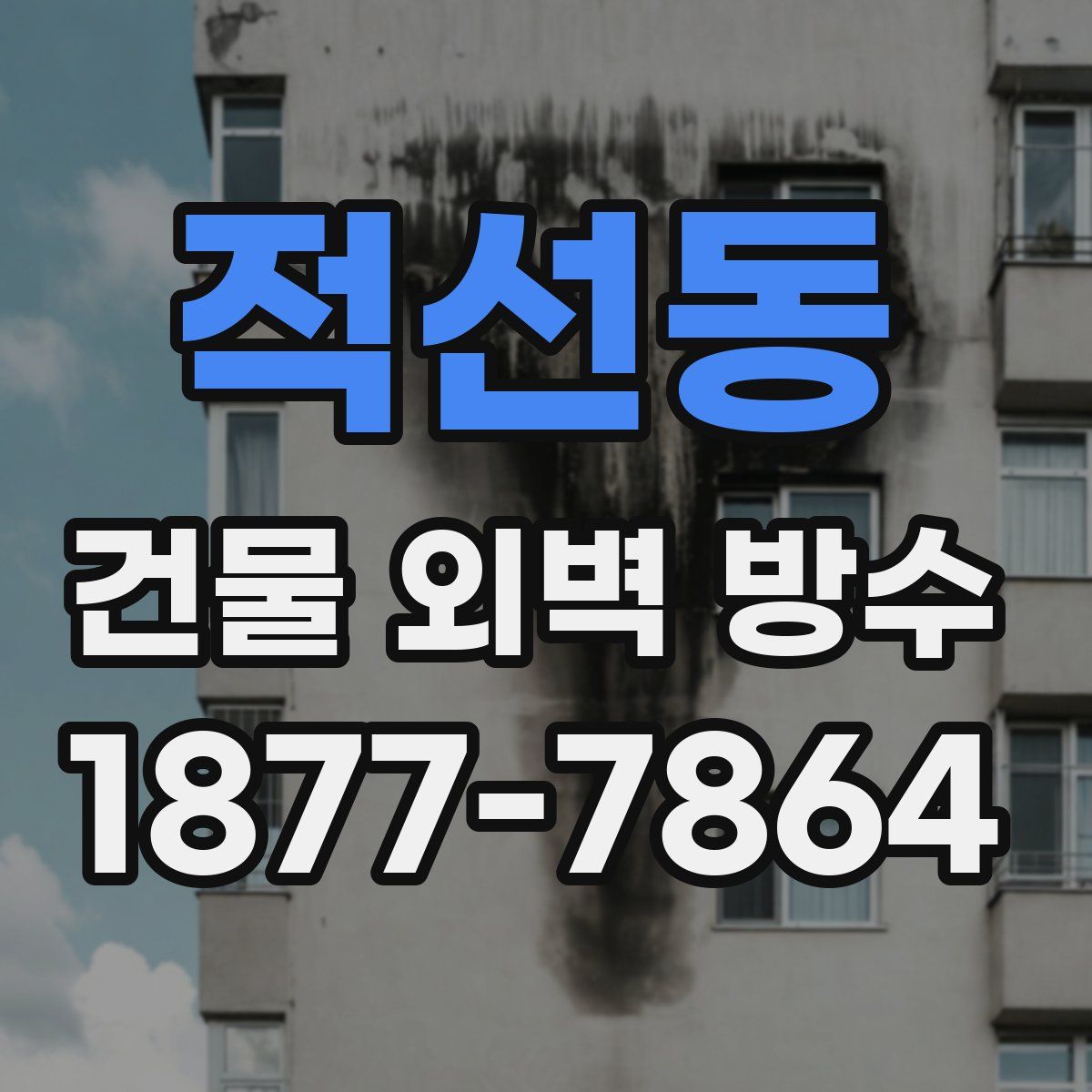 적선동 건물 외벽 방수