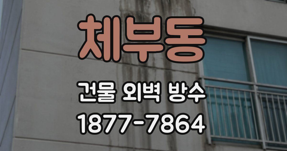 체부동 건물 외벽 방수