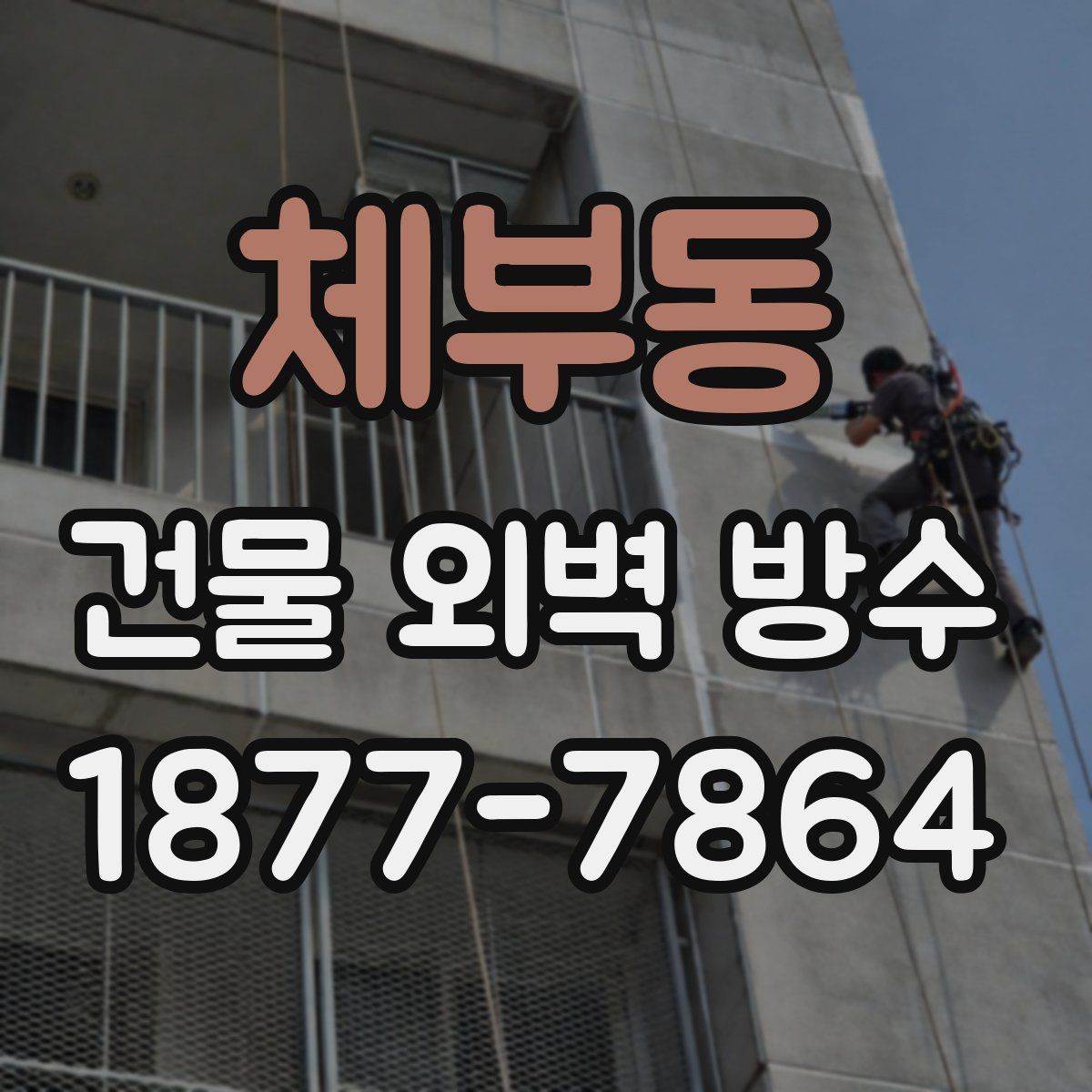 체부동 건물 외벽 방수